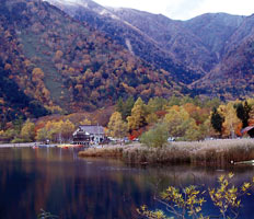 背景に木々のある山の湖の写真