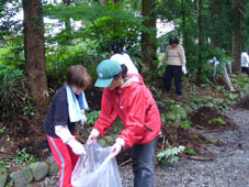 2名の女性が透明の大きなゴミ袋を持って日光杉並木のゴミ拾いなどの清掃活動を行っている写真