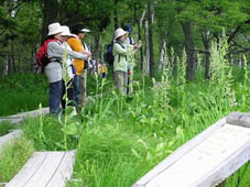 周りに木々や植物が生えている公園で、帽子をかぶりリュックサックを背負っている女性数名がカメラを持ち自然観察会を行っている様子の写真