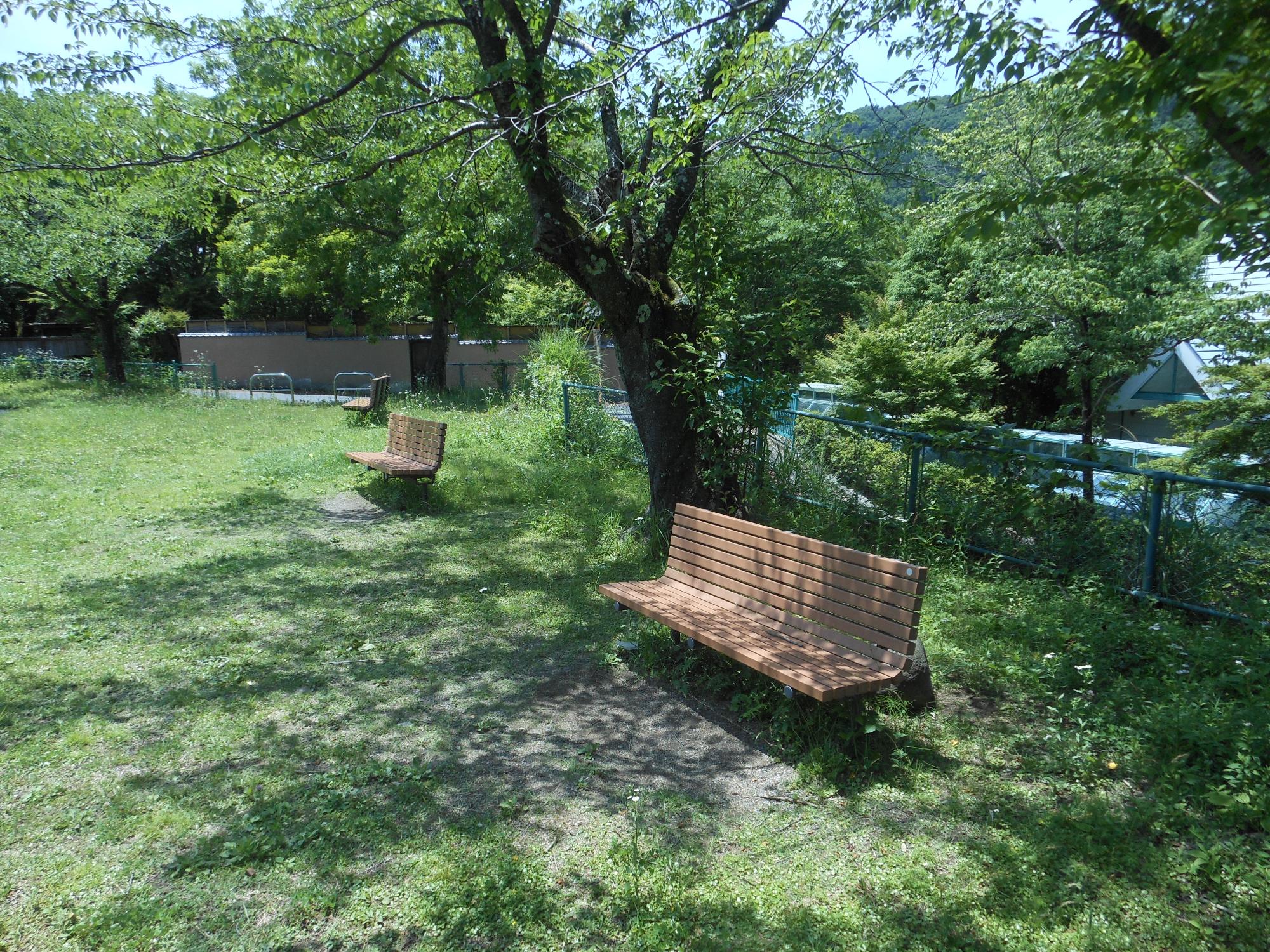 ベンチ