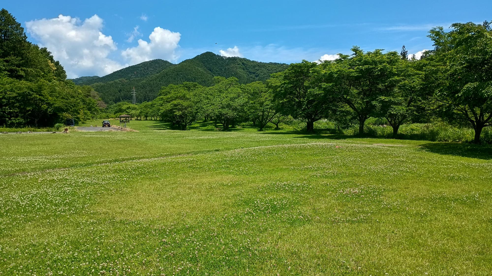 風景