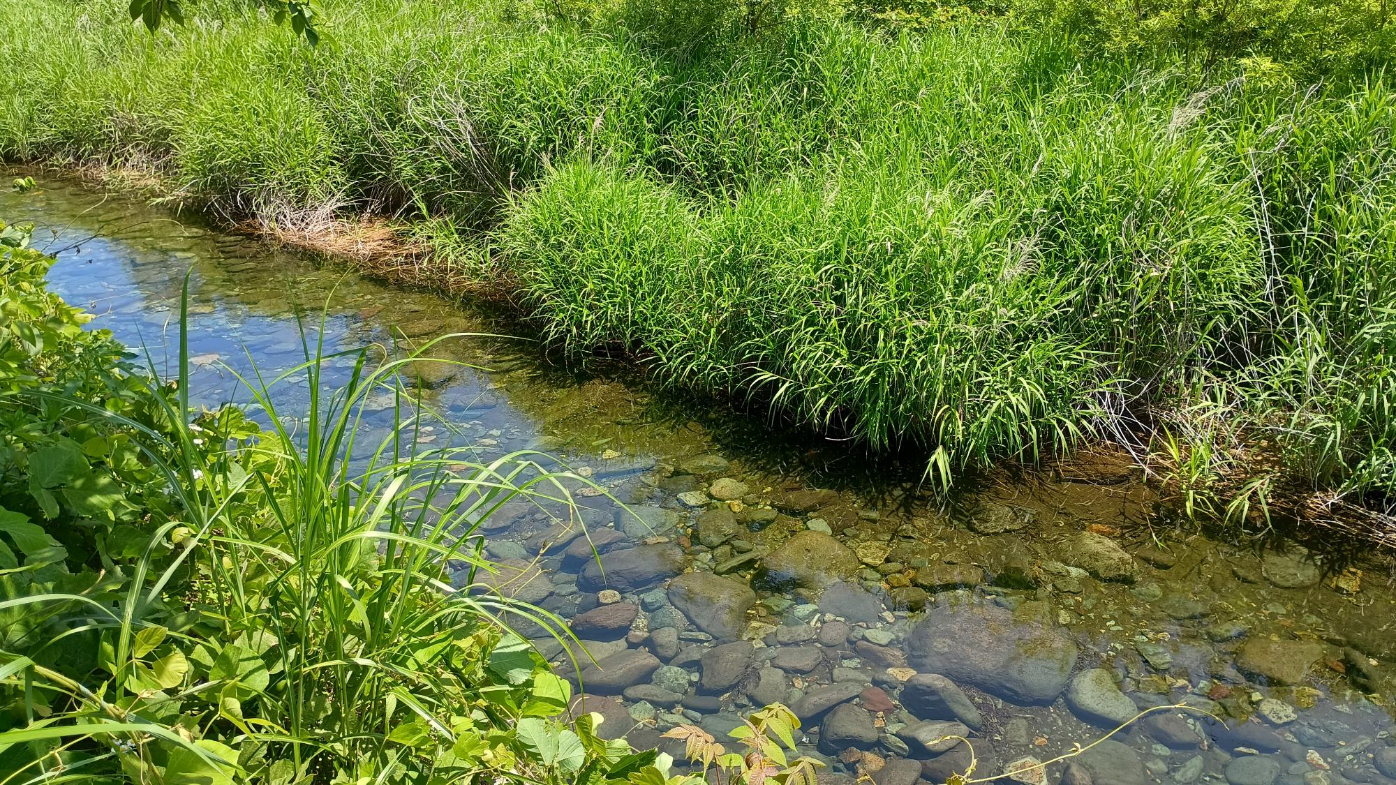 川
