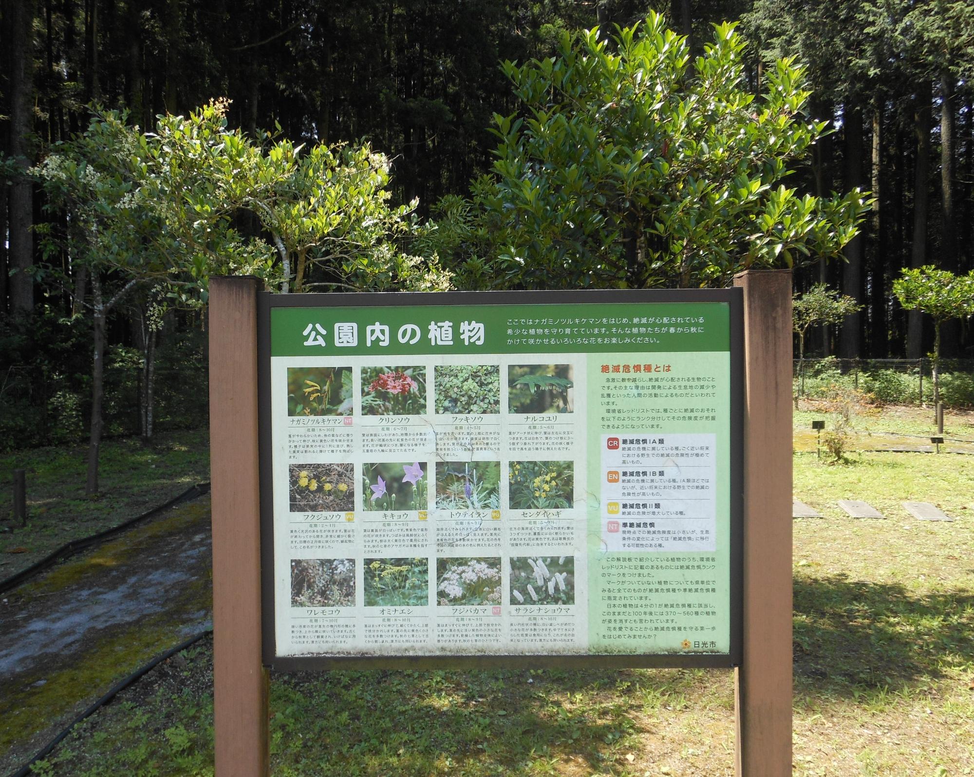 案内板