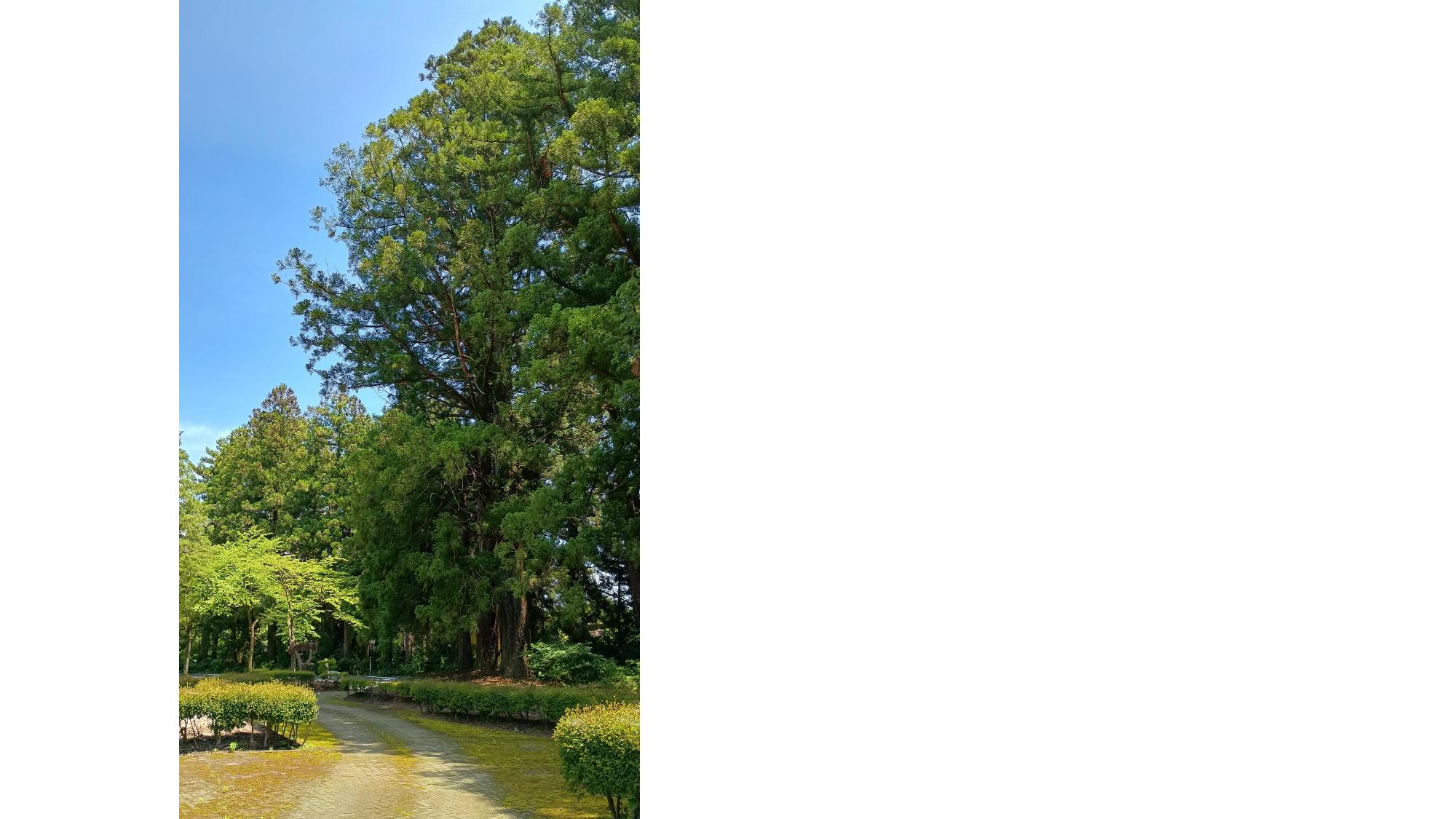 風景2