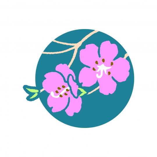 円状の藍色を背景に枝からピンク色の桜が2輪咲いている様子のイラスト