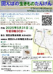 たんぼの生きものたんけん