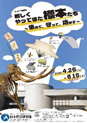 栃木県立博物館第144回企画展「新しくやってきた標本たち」