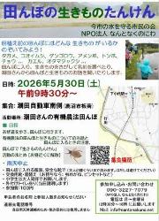田んぼの生きものたんけん