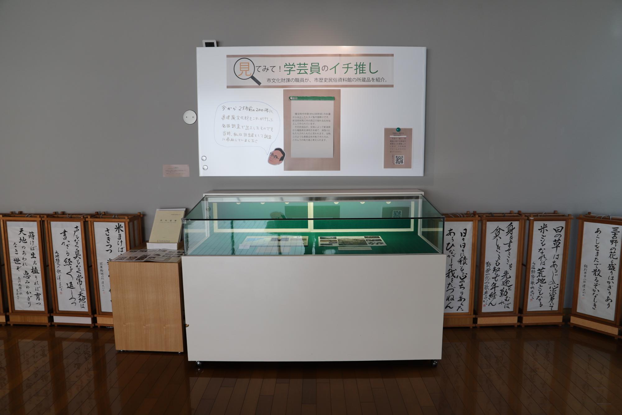 展示の様子