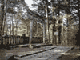 まっすぐに伸びた石畳の先が左に曲がった所に建っている二荒山神社別宮滝尾神社鳥居の写真