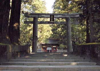 両脇に大きな木が生えている中央にある階段の先に、黒地に金色で文字が書かれた扁額が付いた石鳥居が建っている写真